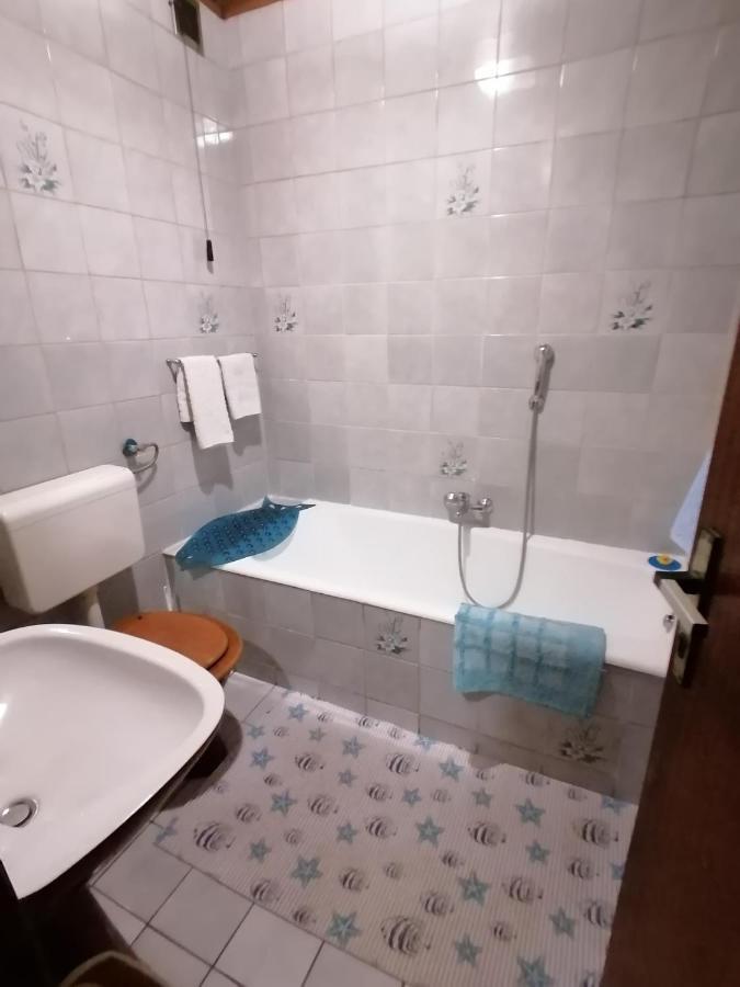 Apartma Tilika 크라니스카고라 외부 사진